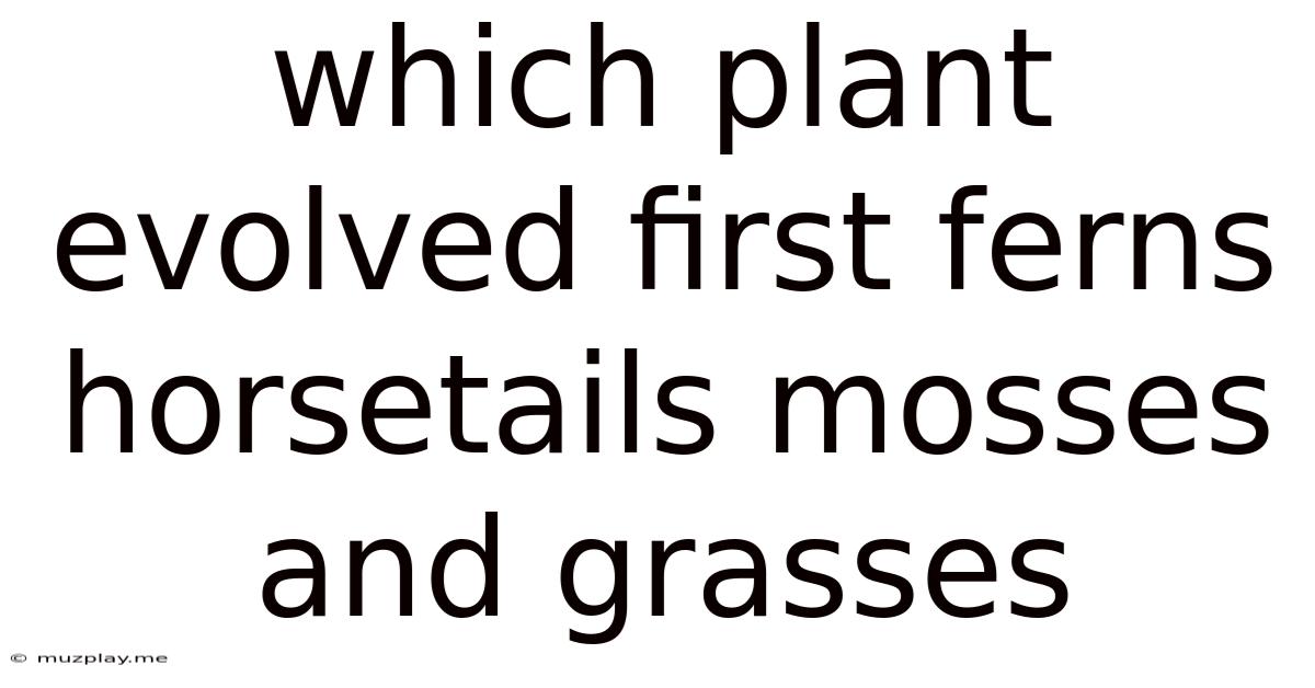 Which Plant Evolved First Ferns Horsetails Mosses And Grasses