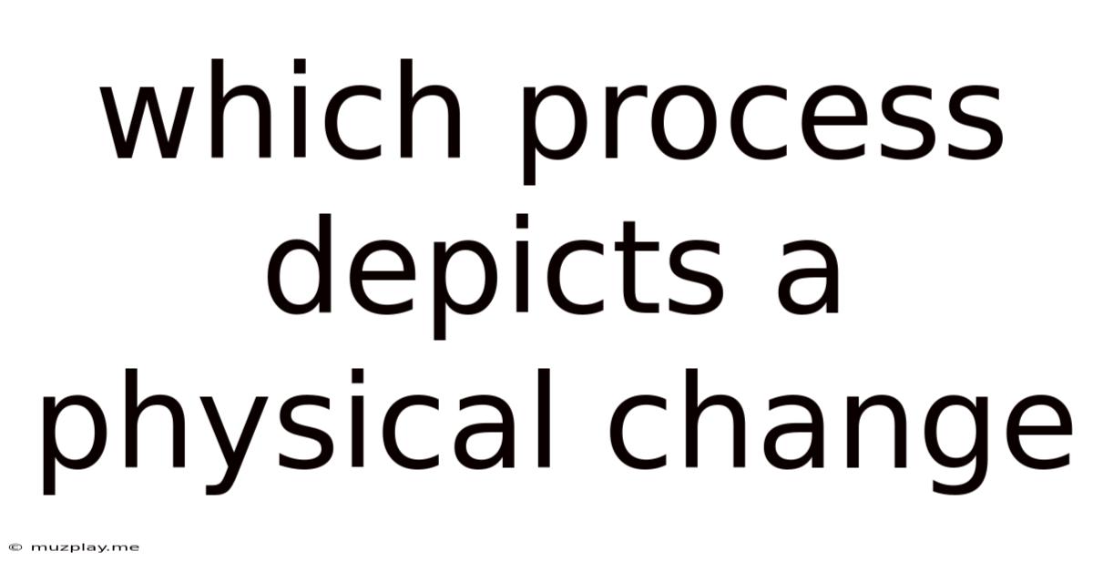 Which Process Depicts A Physical Change
