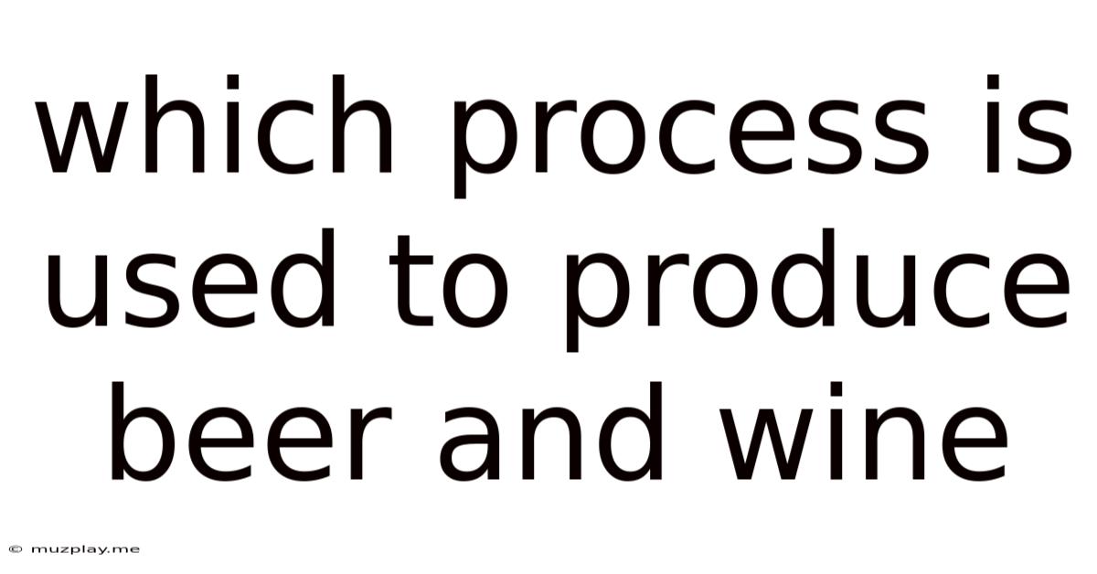 Which Process Is Used To Produce Beer And Wine