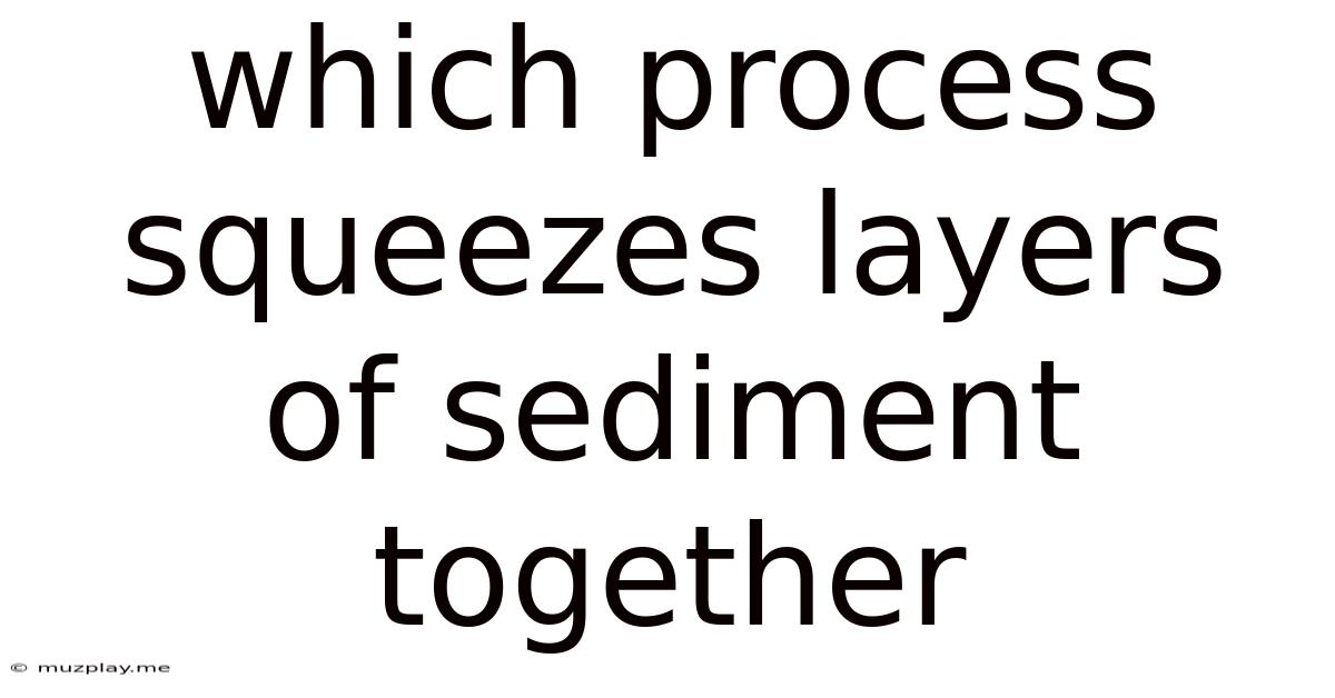 Which Process Squeezes Layers Of Sediment Together