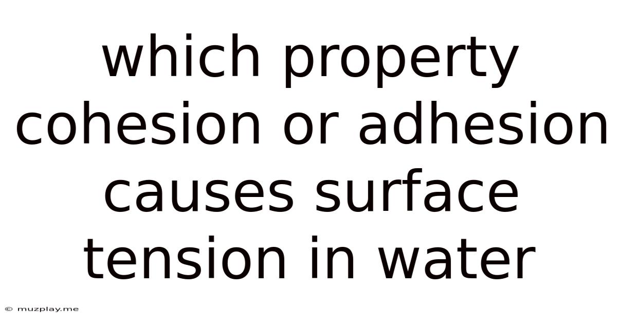 Which Property Cohesion Or Adhesion Causes Surface Tension In Water