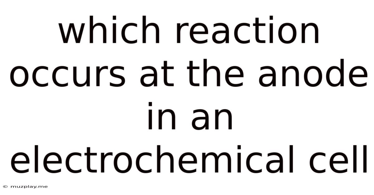 Which Reaction Occurs At The Anode In An Electrochemical Cell