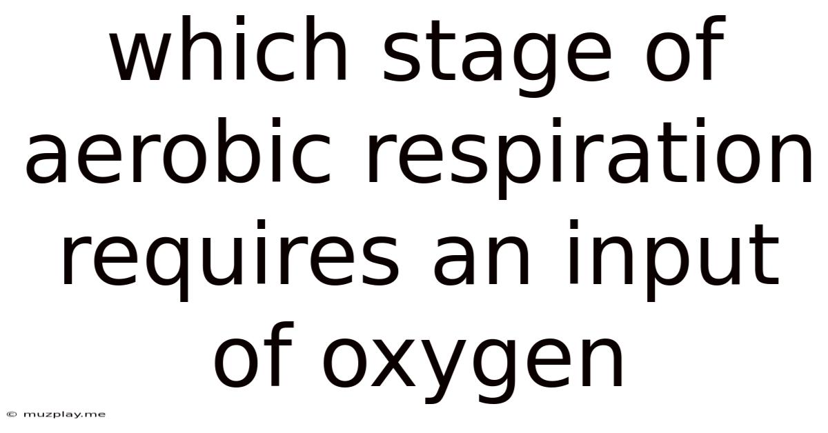 Which Stage Of Aerobic Respiration Requires An Input Of Oxygen