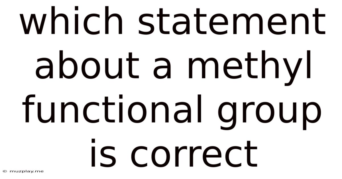Which Statement About A Methyl Functional Group Is Correct