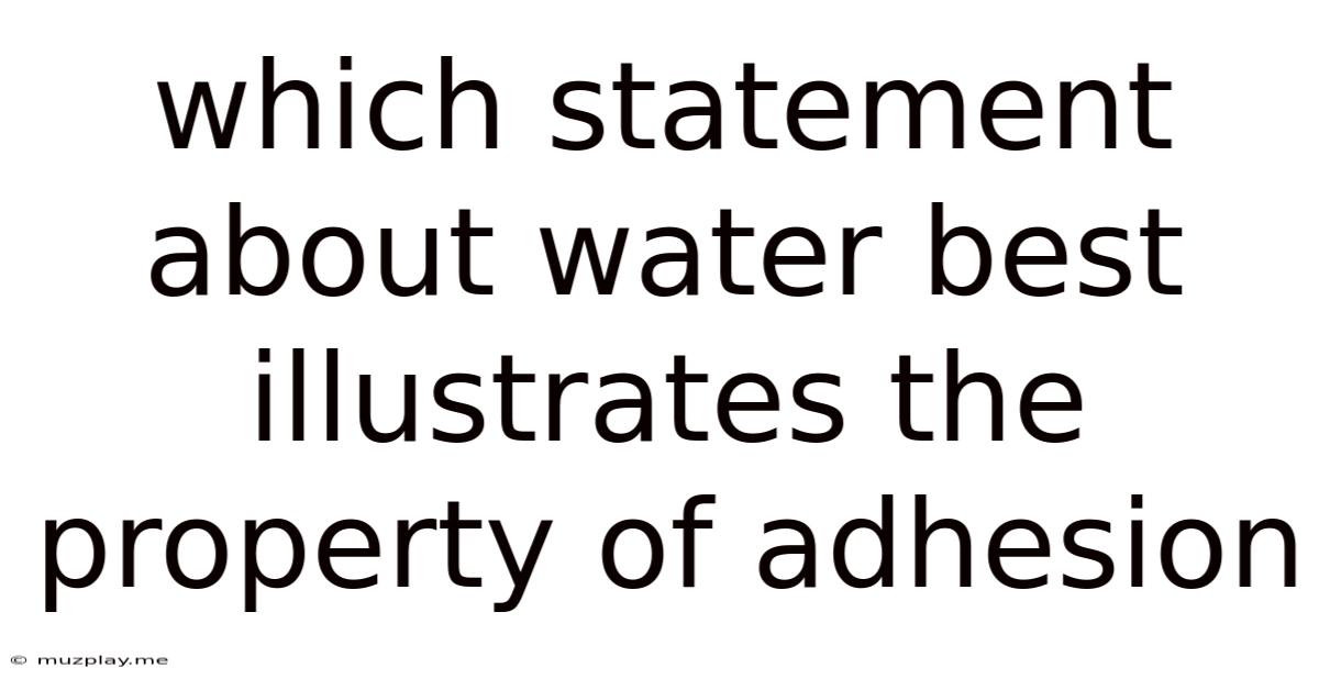 Which Statement About Water Best Illustrates The Property Of Adhesion