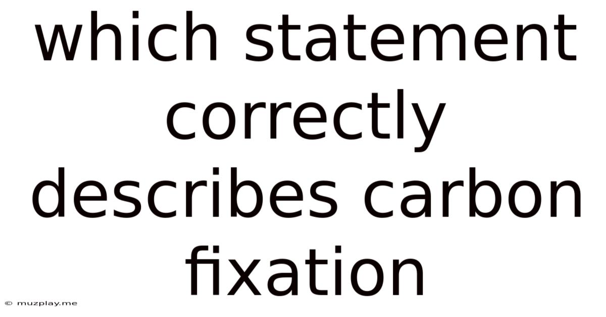 Which Statement Correctly Describes Carbon Fixation