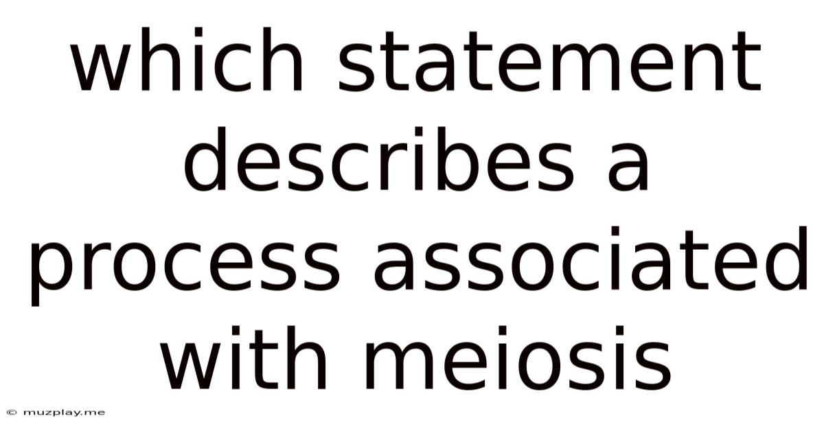 Which Statement Describes A Process Associated With Meiosis