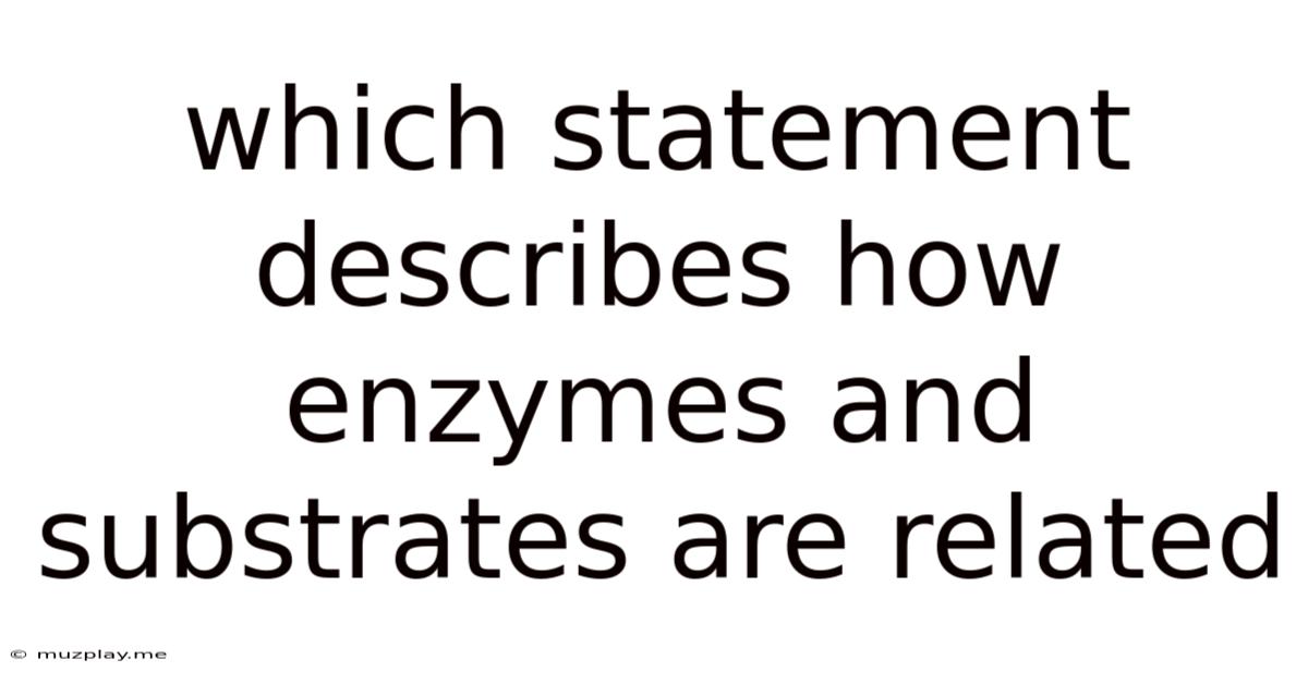 Which Statement Describes How Enzymes And Substrates Are Related