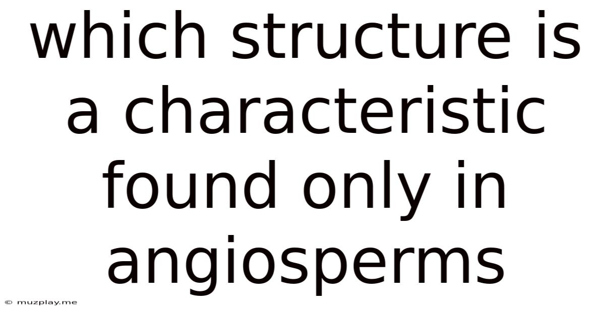 Which Structure Is A Characteristic Found Only In Angiosperms