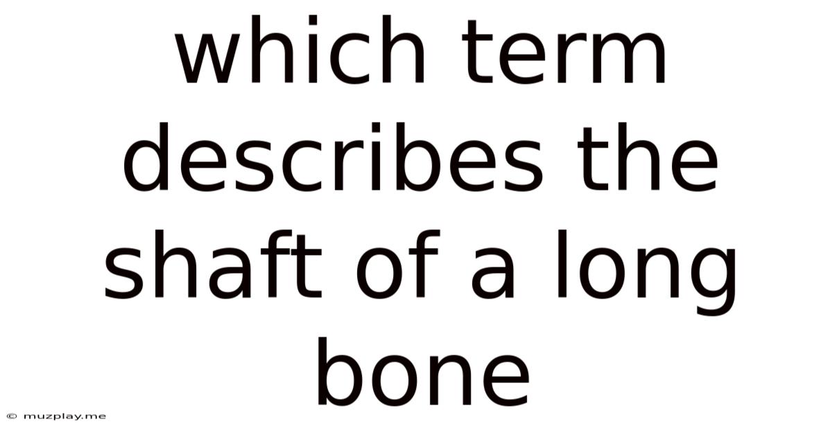 Which Term Describes The Shaft Of A Long Bone