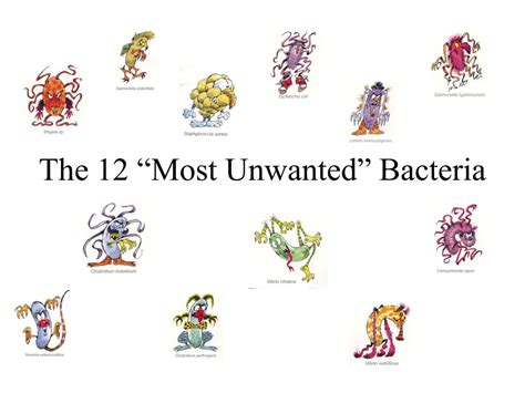 Which Term Refers To The Introduction Of Unwanted Microorganisms