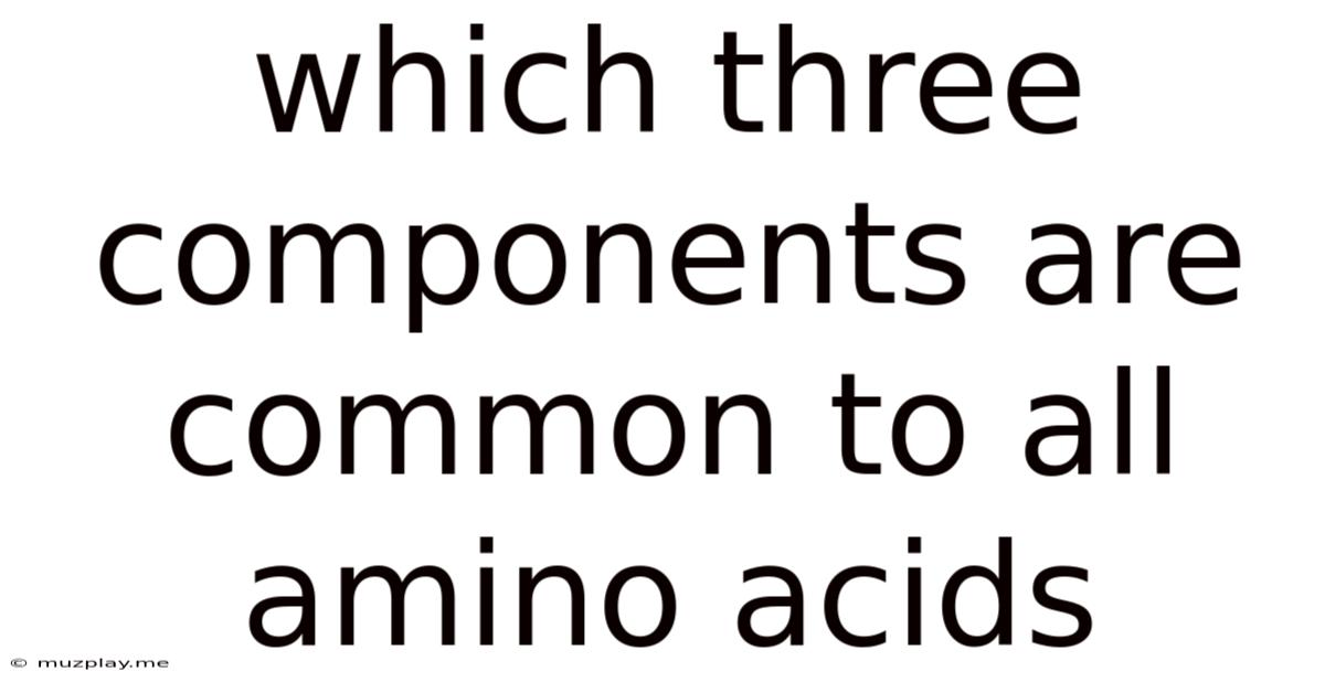 Which Three Components Are Common To All Amino Acids