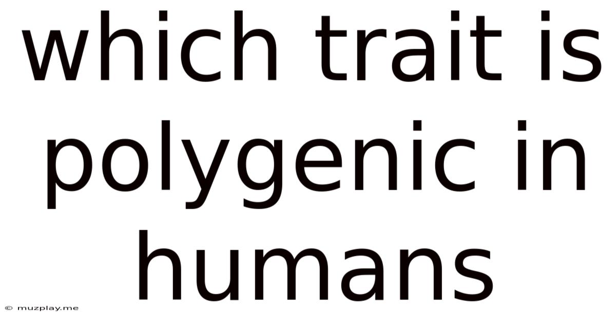 Which Trait Is Polygenic In Humans
