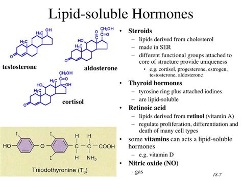 Which Type Of Hormone Is Lipid Soluble