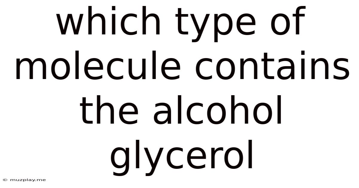 Which Type Of Molecule Contains The Alcohol Glycerol