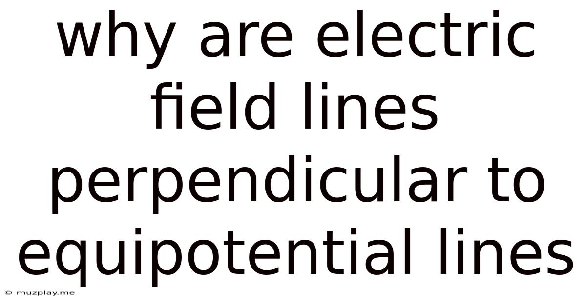 Why Are Electric Field Lines Perpendicular To Equipotential Lines