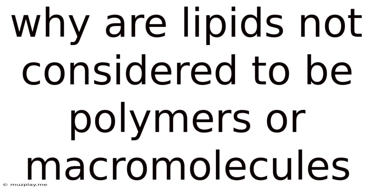Why Are Lipids Not Considered To Be Polymers Or Macromolecules