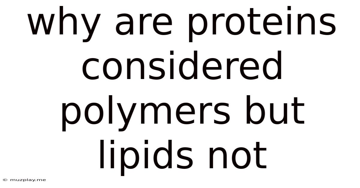 Why Are Proteins Considered Polymers But Lipids Not