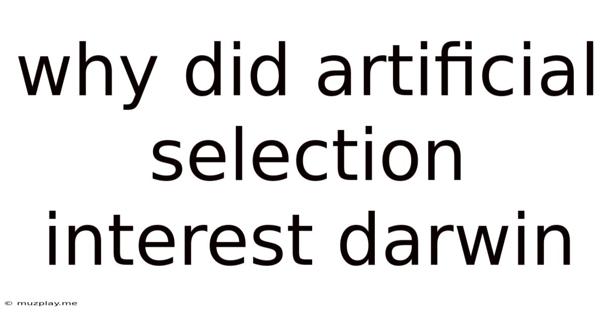 Why Did Artificial Selection Interest Darwin