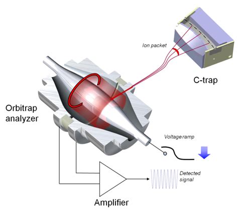 Why Do Ions Travel Back And Forth In Orbitrap