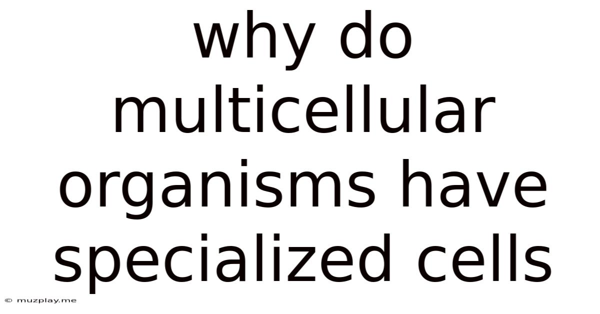 Why Do Multicellular Organisms Have Specialized Cells
