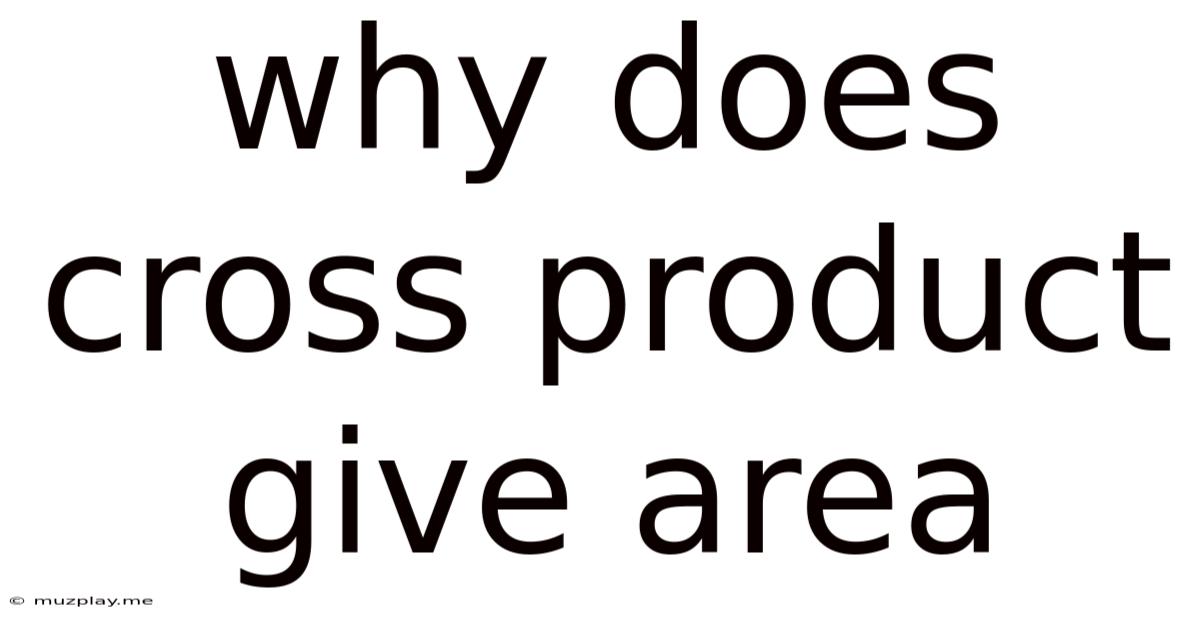 Why Does Cross Product Give Area
