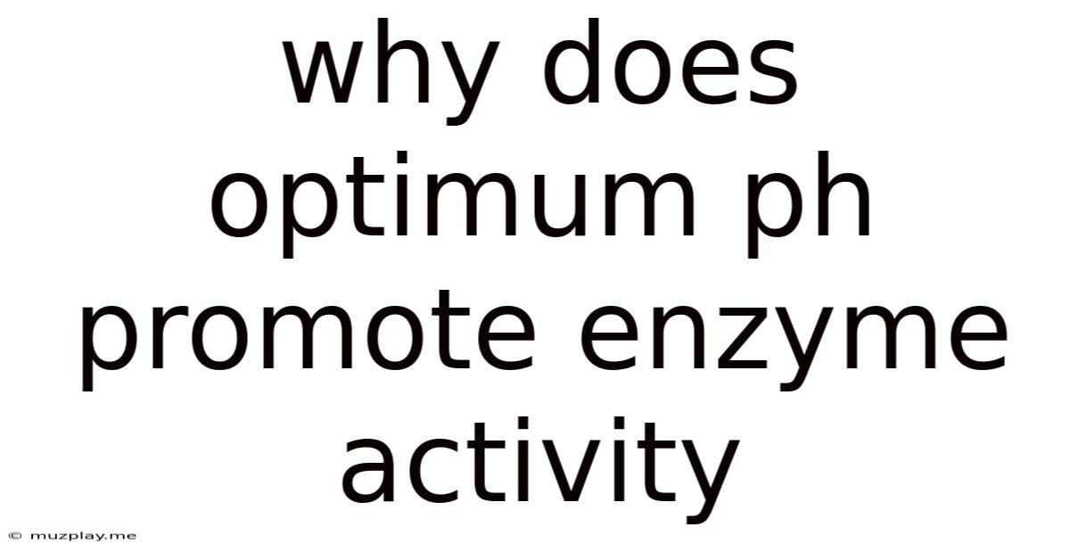 Why Does Optimum Ph Promote Enzyme Activity