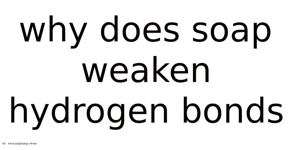 Why Does Soap Weaken Hydrogen Bonds