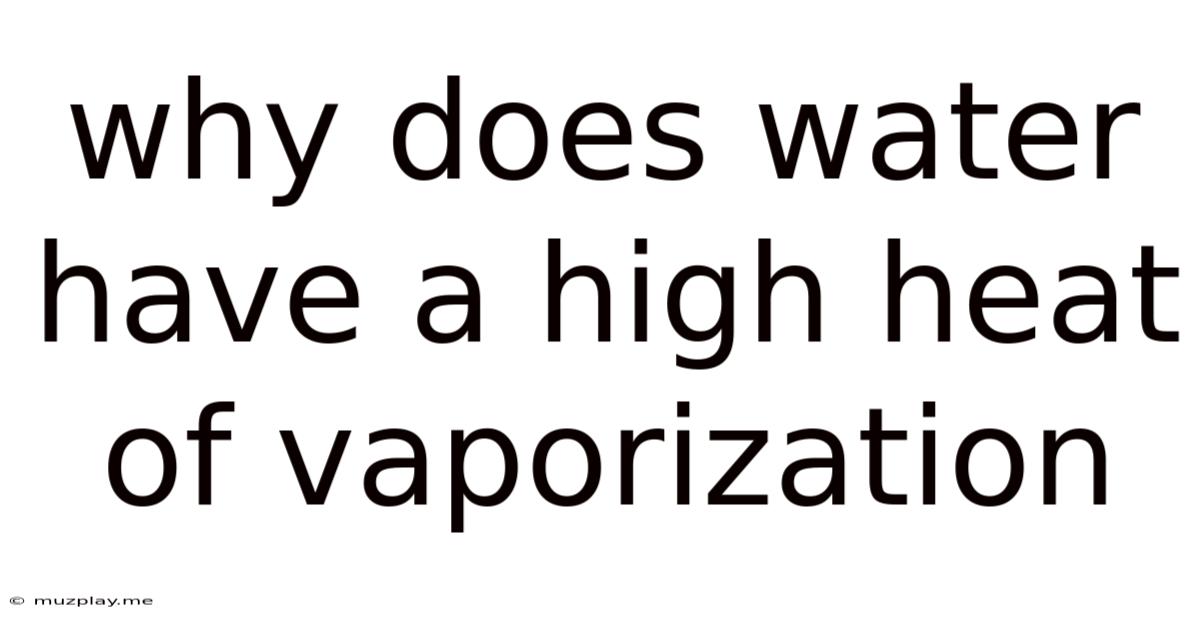 Why Does Water Have A High Heat Of Vaporization
