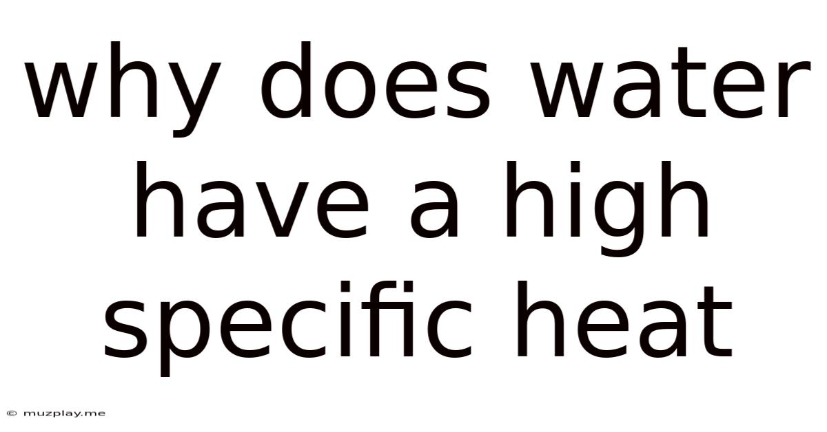 Why Does Water Have A High Specific Heat