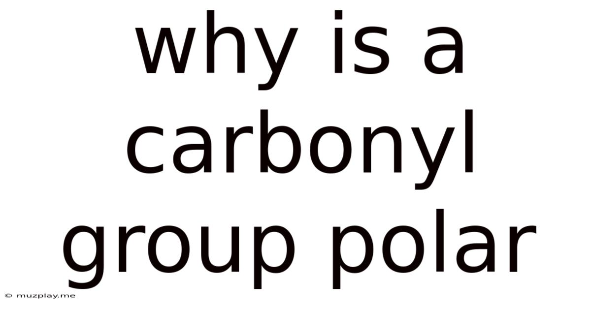 Why Is A Carbonyl Group Polar