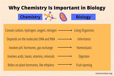 Why Is Chemistry Important In The Study Of Biology