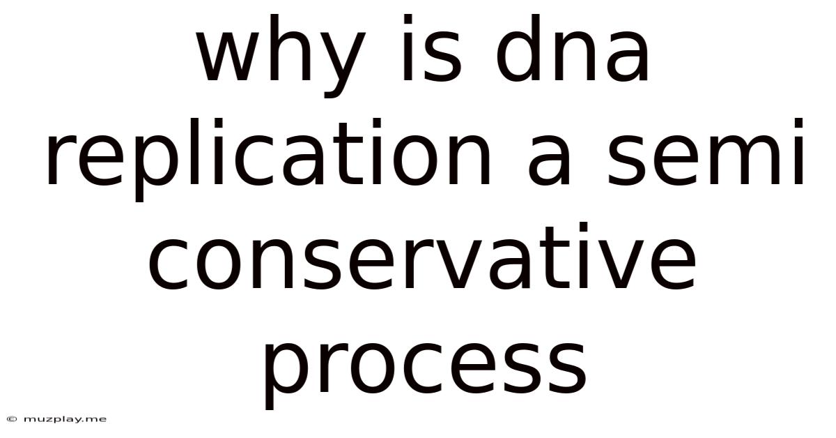 Why Is Dna Replication A Semi Conservative Process