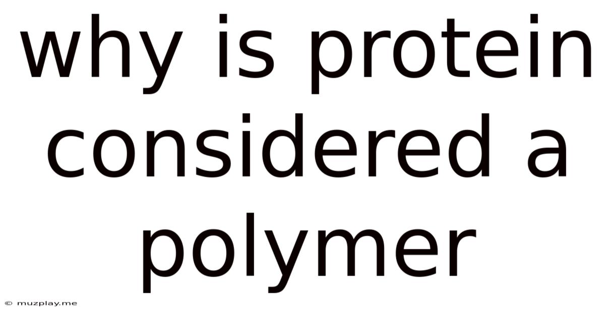 Why Is Protein Considered A Polymer
