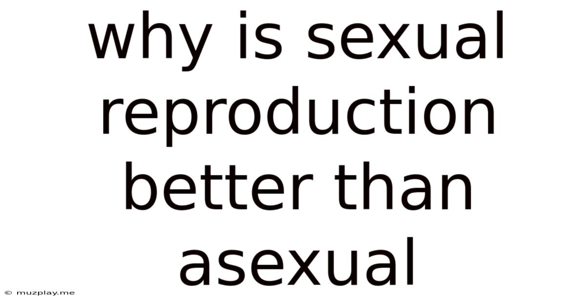 Why Is Sexual Reproduction Better Than Asexual
