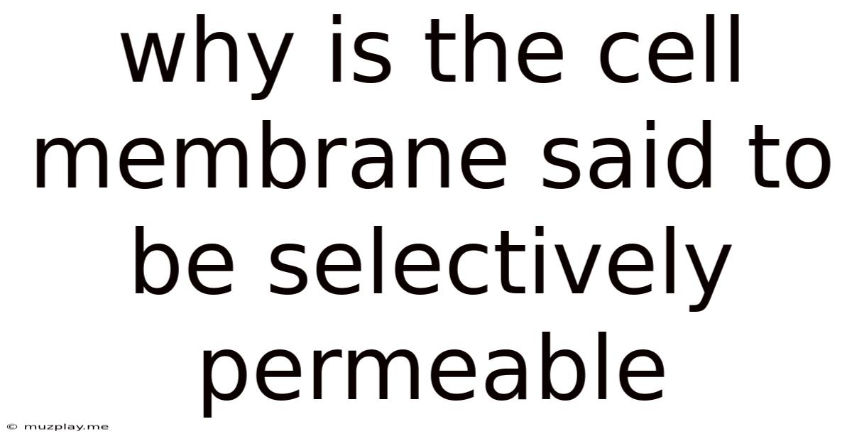 Why Is The Cell Membrane Said To Be Selectively Permeable