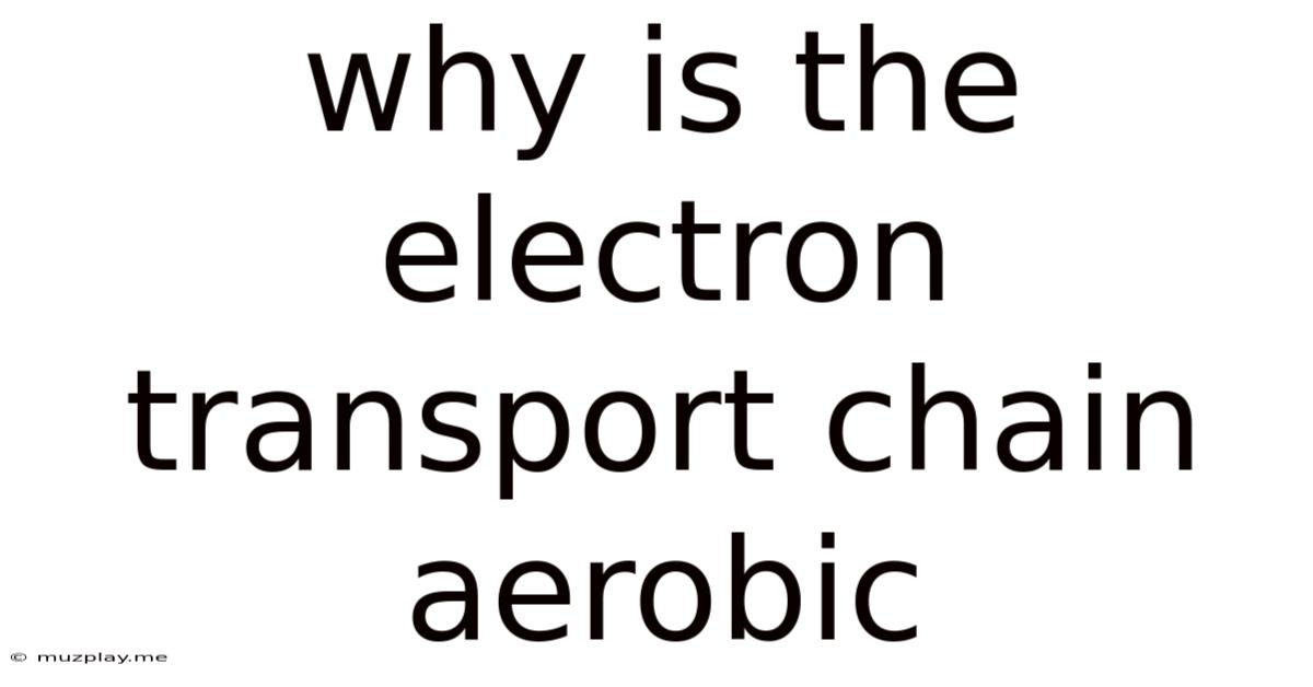 Why Is The Electron Transport Chain Aerobic