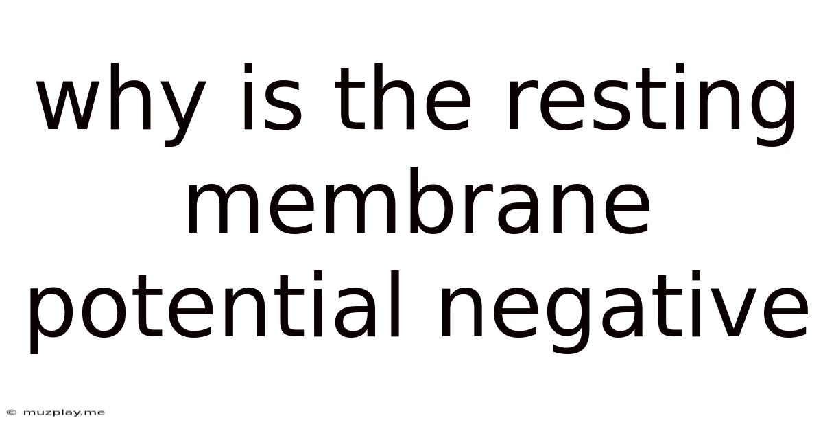 Why Is The Resting Membrane Potential Negative