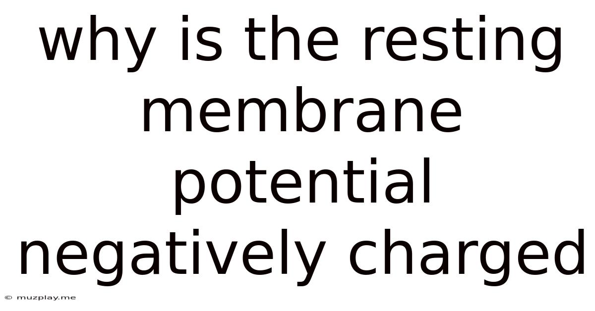 Why Is The Resting Membrane Potential Negatively Charged