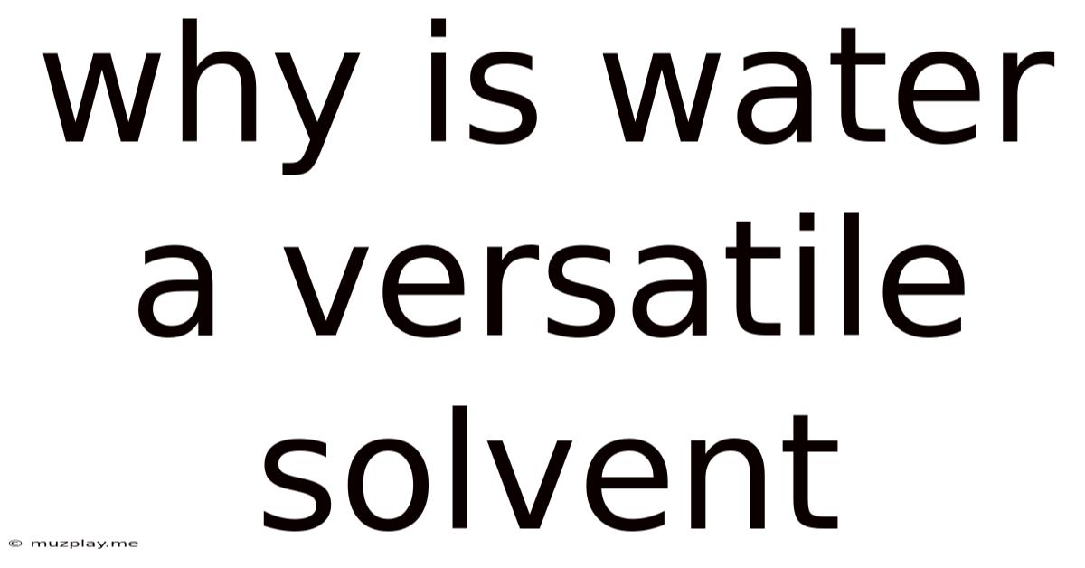 Why Is Water A Versatile Solvent