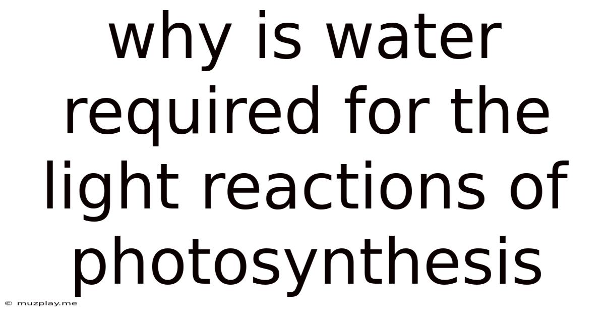 Why Is Water Required For The Light Reactions Of Photosynthesis