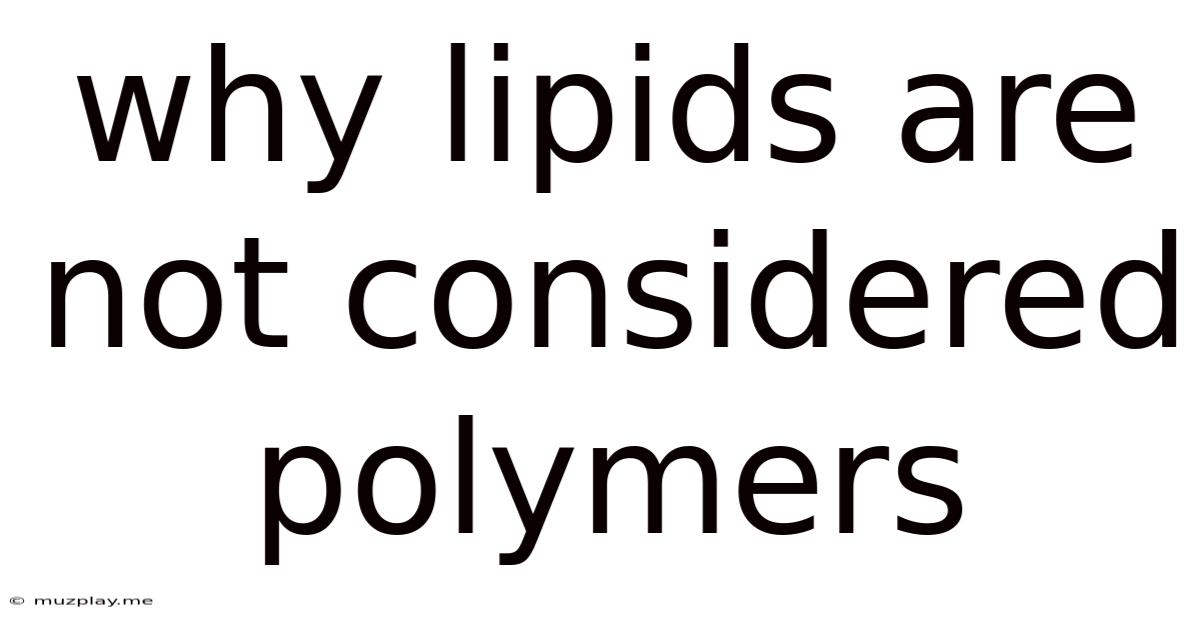 Why Lipids Are Not Considered Polymers