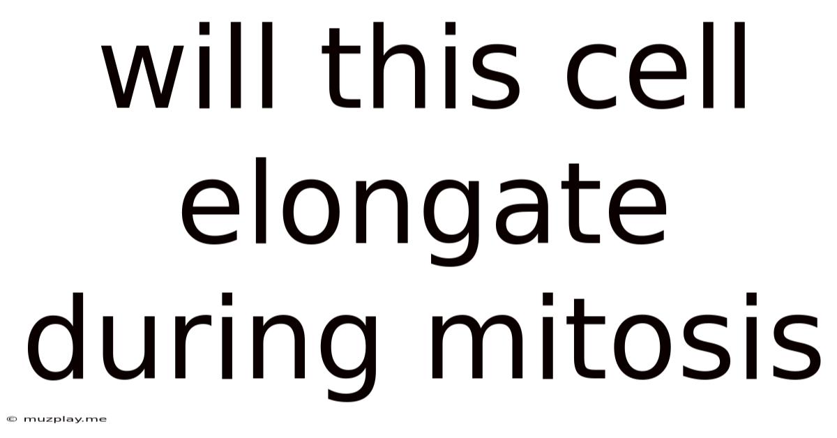 Will This Cell Elongate During Mitosis