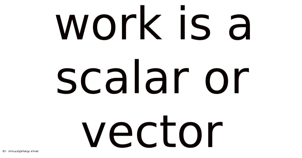 Work Is A Scalar Or Vector